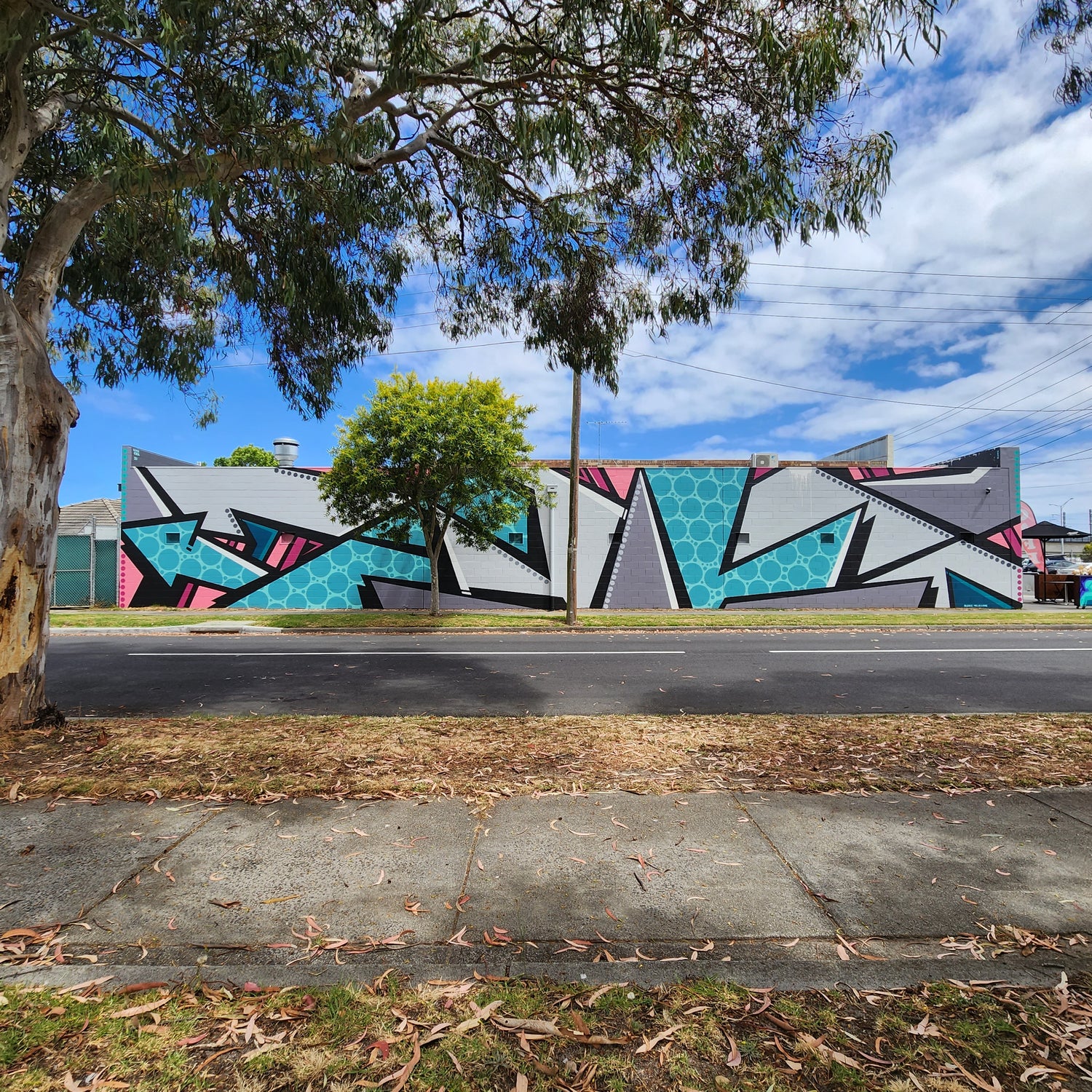 Large wall mural by Silence Melbourne - located in Frankston 